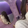 alostgirl6
