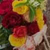 am_l330