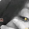 cindy_lisbet.l
