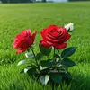 zahrahssen12