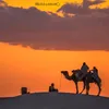 el_sahrawi08