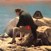 _litelsi_
