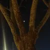 kiindabored