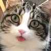 nenaty0