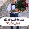 mohamedgamal1184
