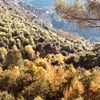 mohamaddaherr_