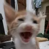 tiziziziziziz