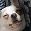 bemmy_sorser