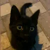seeeeeyyyyf33