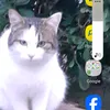 pasqualeperrotta71