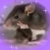 12000feralrats