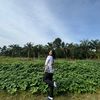 sika_yoh