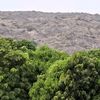 khaledkhabrani1