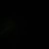 ozil_zincler