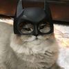 nyaa.ul