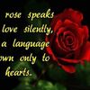 sweetiesweetie209