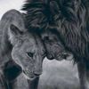 khalid__699