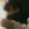 tahl_7