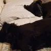 ruby.and.roxy