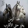 saidbelaid92