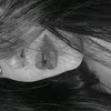 z__z1232