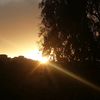 mouhamedmam1