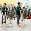 alosh__2080