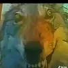 ujjdjf123
