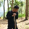 thaiteaorian