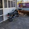 antonbayu03