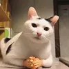 osamayoufty