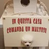 tinapellegrino777