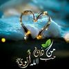 nabilaghoul