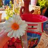 🌸زينب🌸