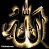 user531521801548