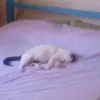 gabylu226
