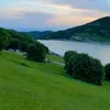 Alishemry@said