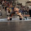 carter_phippen