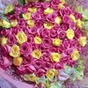 user5106184600187