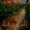 shamshad.786k
