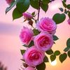 saima_7872