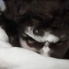 pluto._vfx
