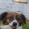 maxzieee
