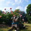 lovelypersephone