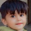 syedalihaider393