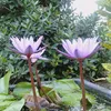 anhdathua83