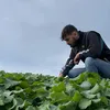 dadou_et_clara