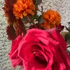 florhoi