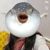 limey293