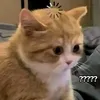 beeee_280